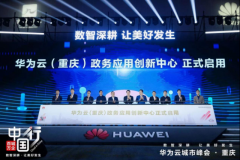 正在台上大师可以或许各