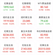 <b>沪银从力合约收跌2%</b>